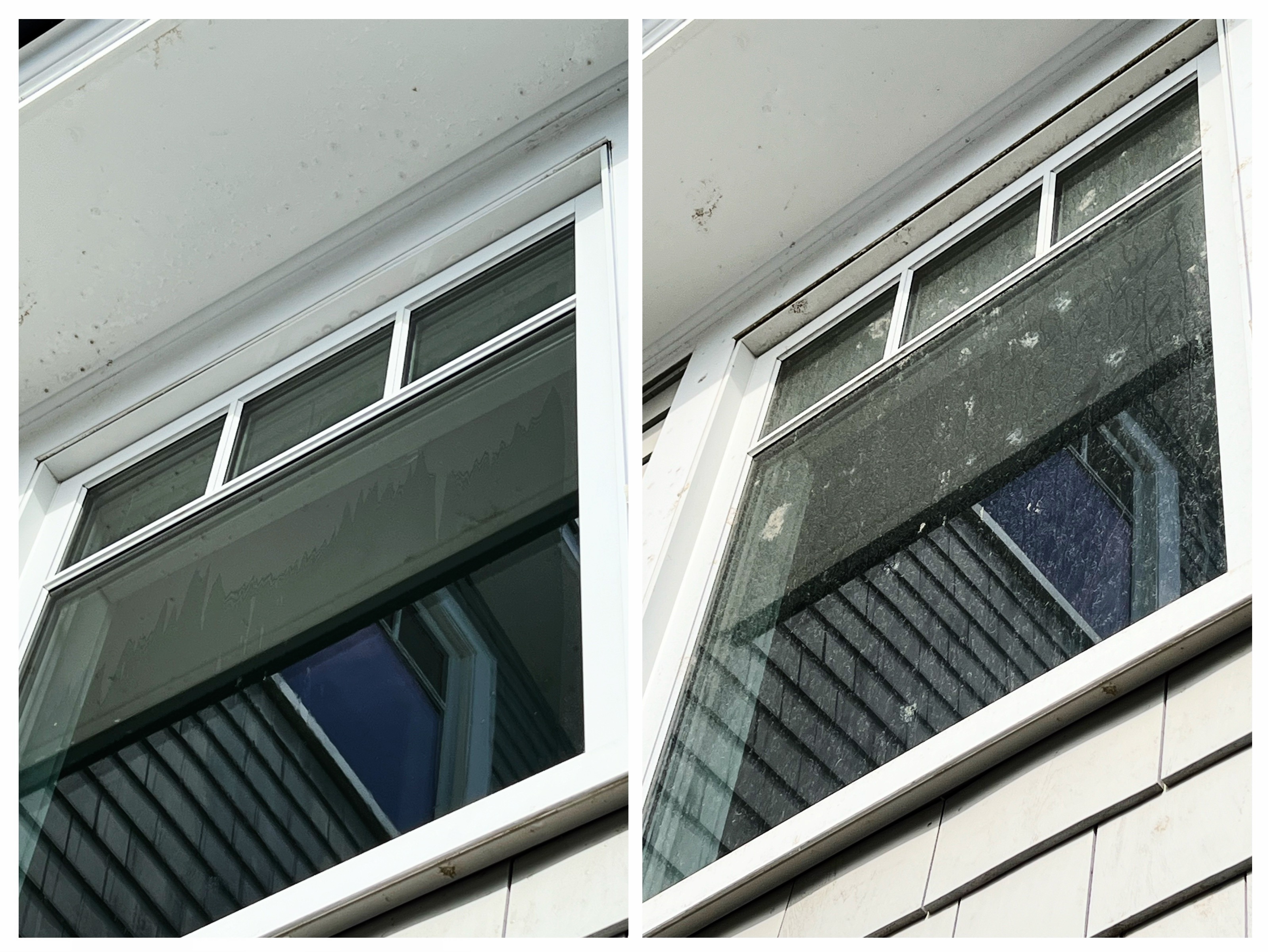 Window Cleaning - York
