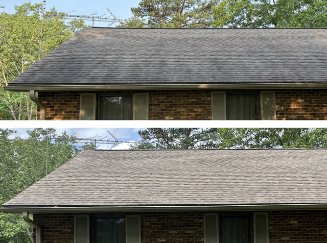 Roof Cleaning